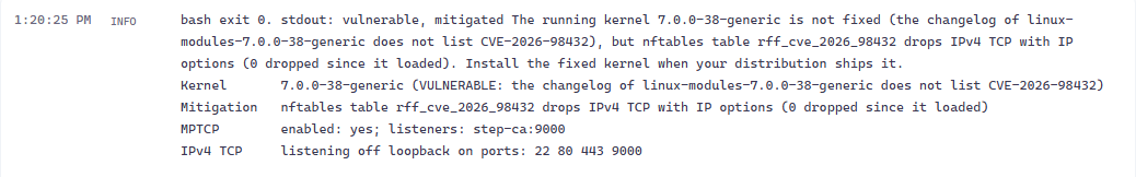 RFF job output on Ubuntu 26.04: vulnerable, mitigated, the nftables rule drops IPv4 TCP with IP options