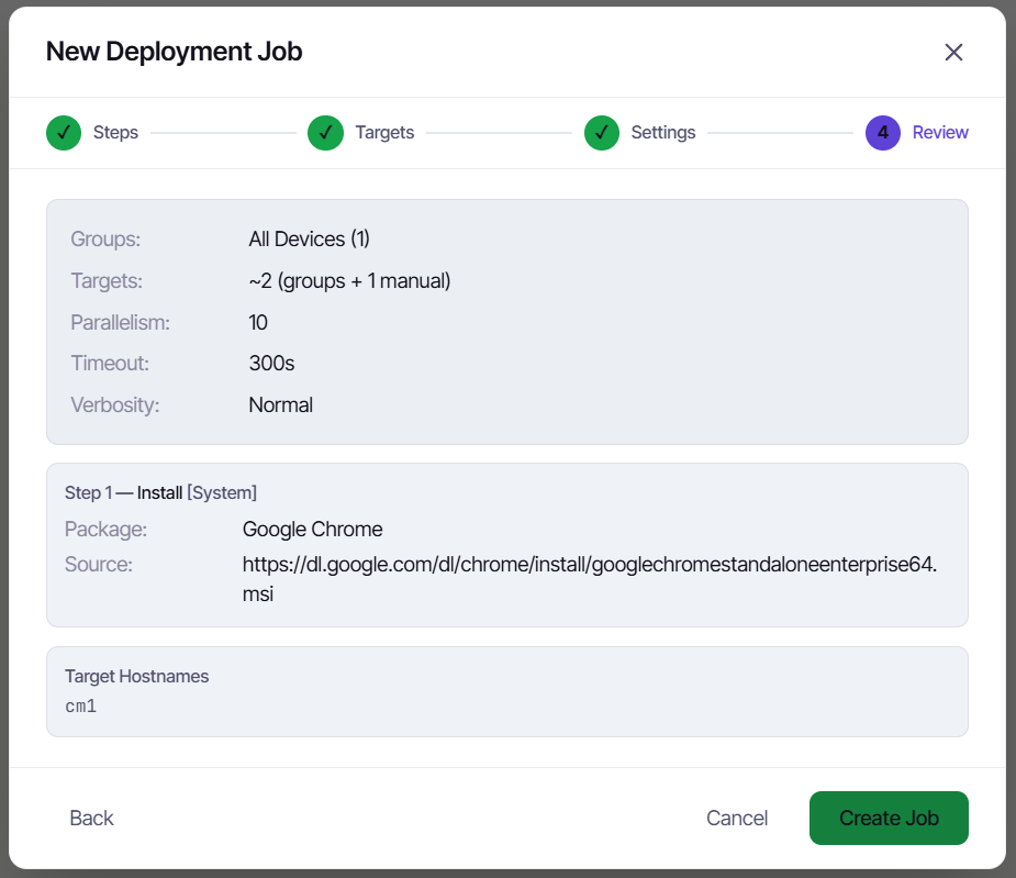 The Review step - steps and targets confirmed before the job is created